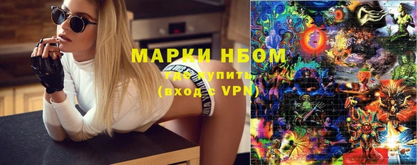 амф Осташков