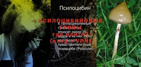 метадон Осинники