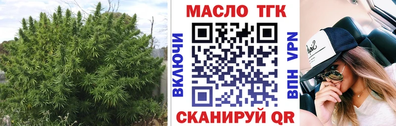 где купить omg ONION Дистиллят ТГК вейп с тгк Заполярный